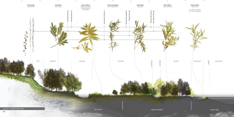 Huang, Whitaker win national landscape architecture honors